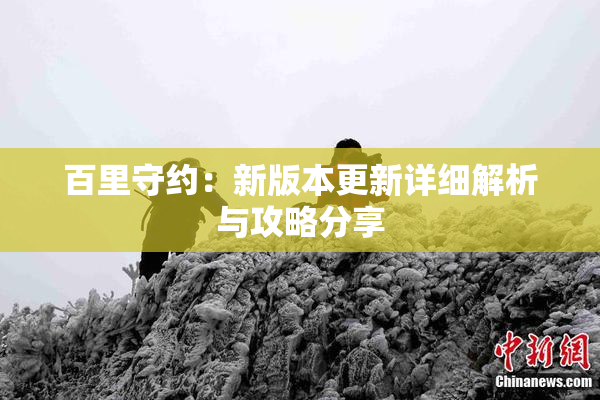 百里守约：新版本更新详细解析与攻略分享
