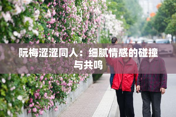 阮梅涩涩同人：细腻情感的碰撞与共鸣