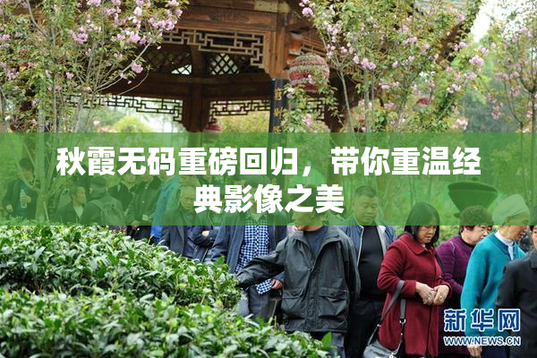 秋霞无码重磅回归，带你重温经典影像之美