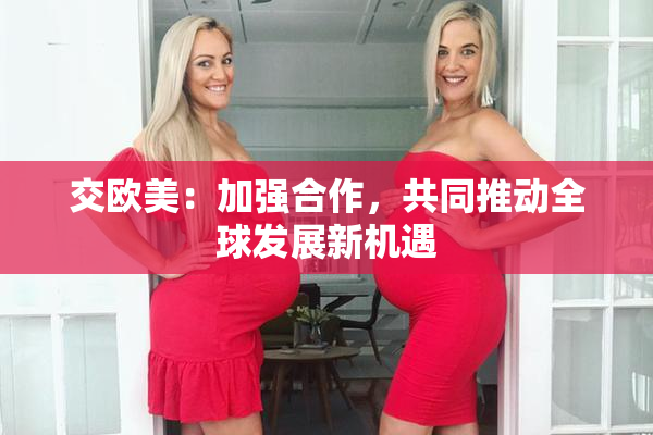 交欧美：加强合作，共同推动全球发展新机遇