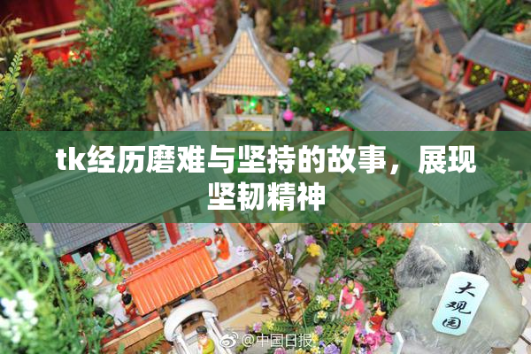 tk经历磨难与坚持的故事，展现坚韧精神