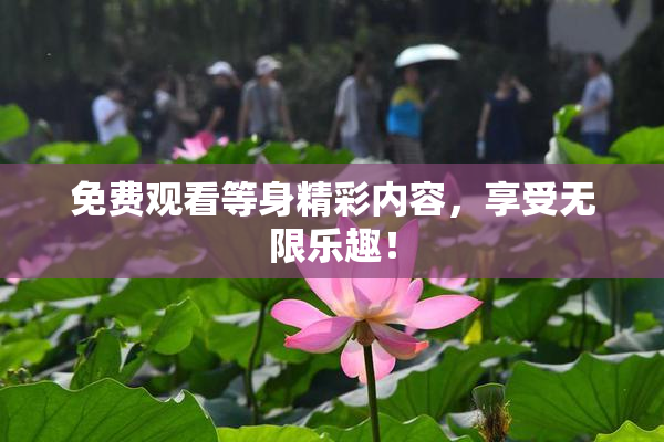 免费观看等身精彩内容，享受无限乐趣！