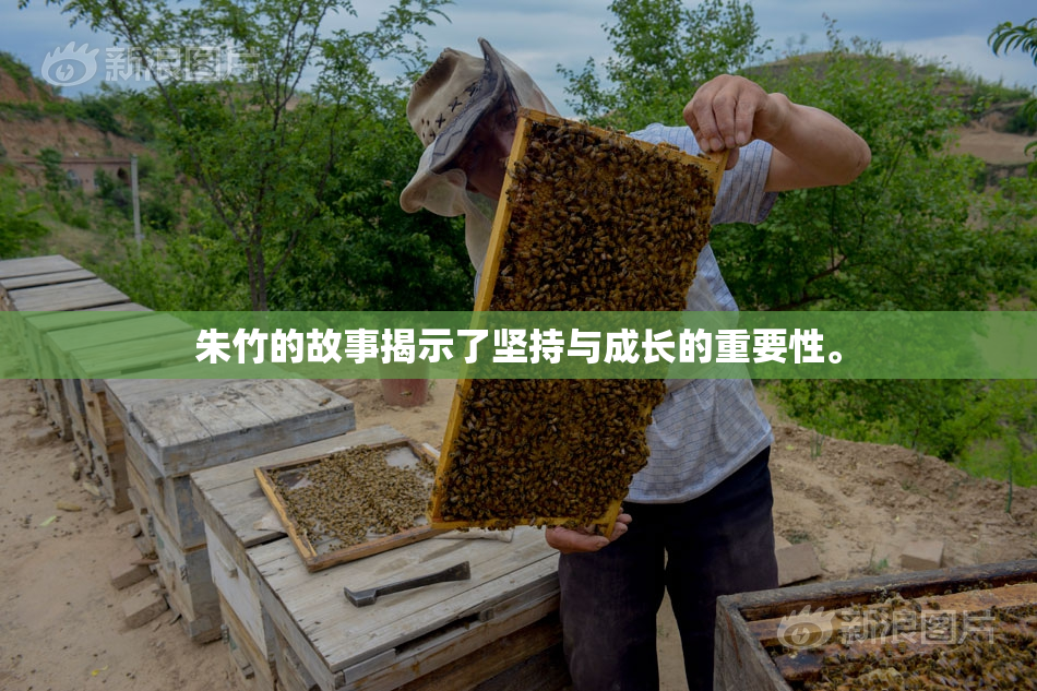 朱竹的故事揭示了坚持与成长的重要性。