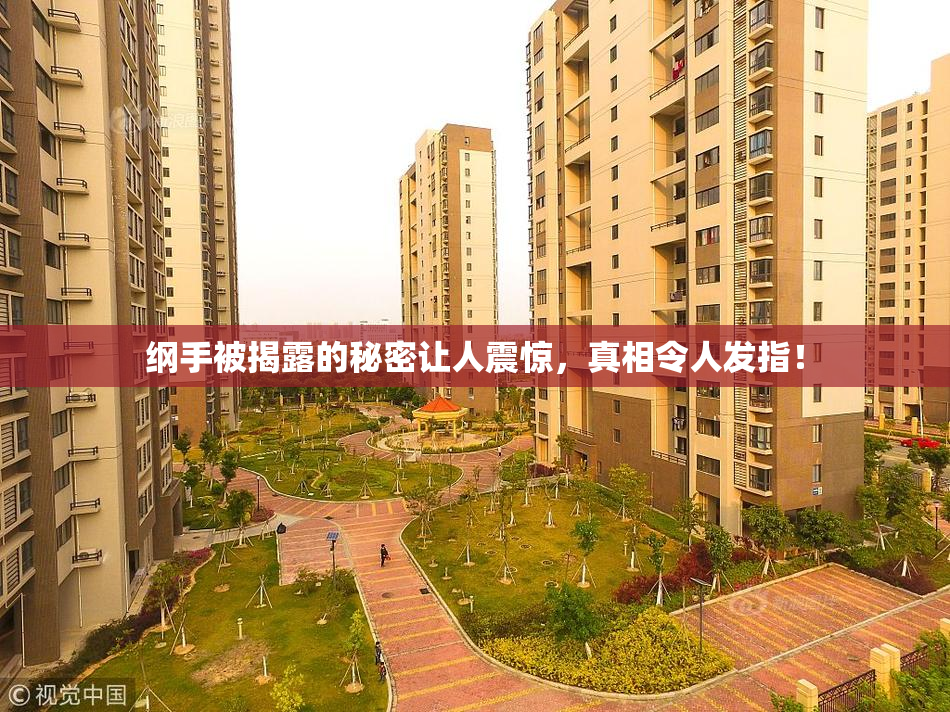 纲手被揭露的秘密让人震惊，真相令人发指！