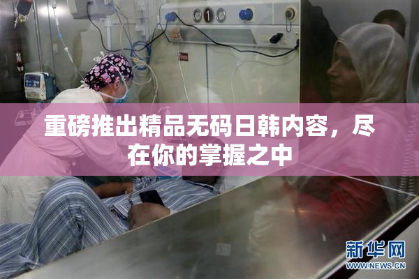 重磅推出精品无码日韩内容，尽在你的掌握之中