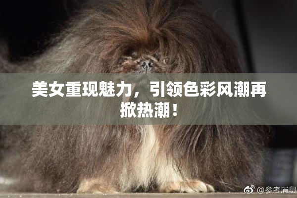 美女重现魅力，引领色彩风潮再掀热潮！