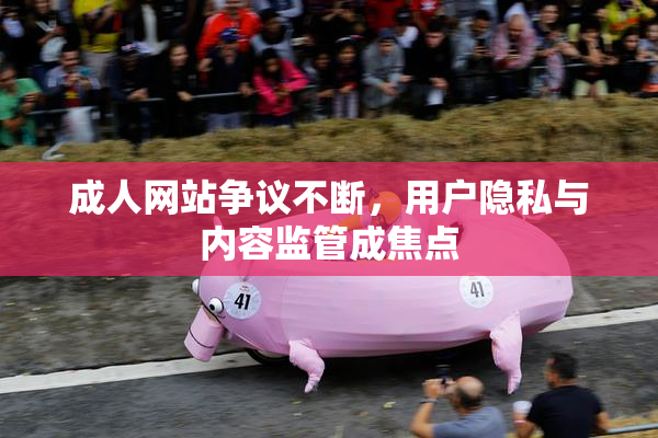 成人网站争议不断，用户隐私与内容监管成焦点