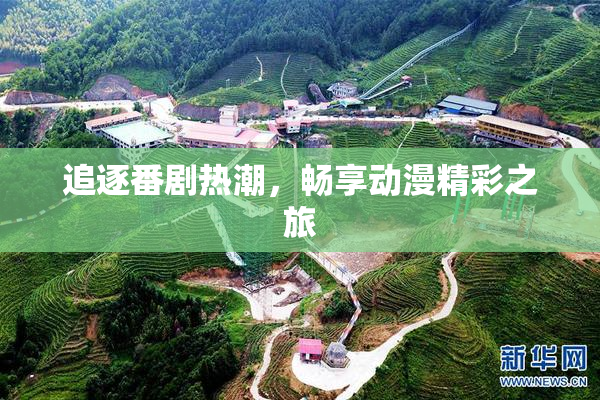 追逐番剧热潮，畅享动漫精彩之旅