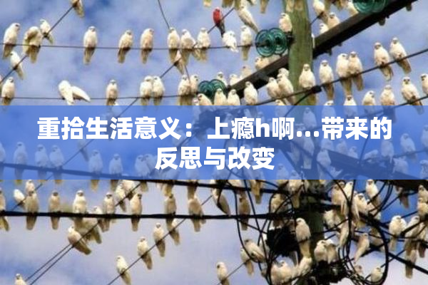 重拾生活意义：上瘾h啊…带来的反思与改变
