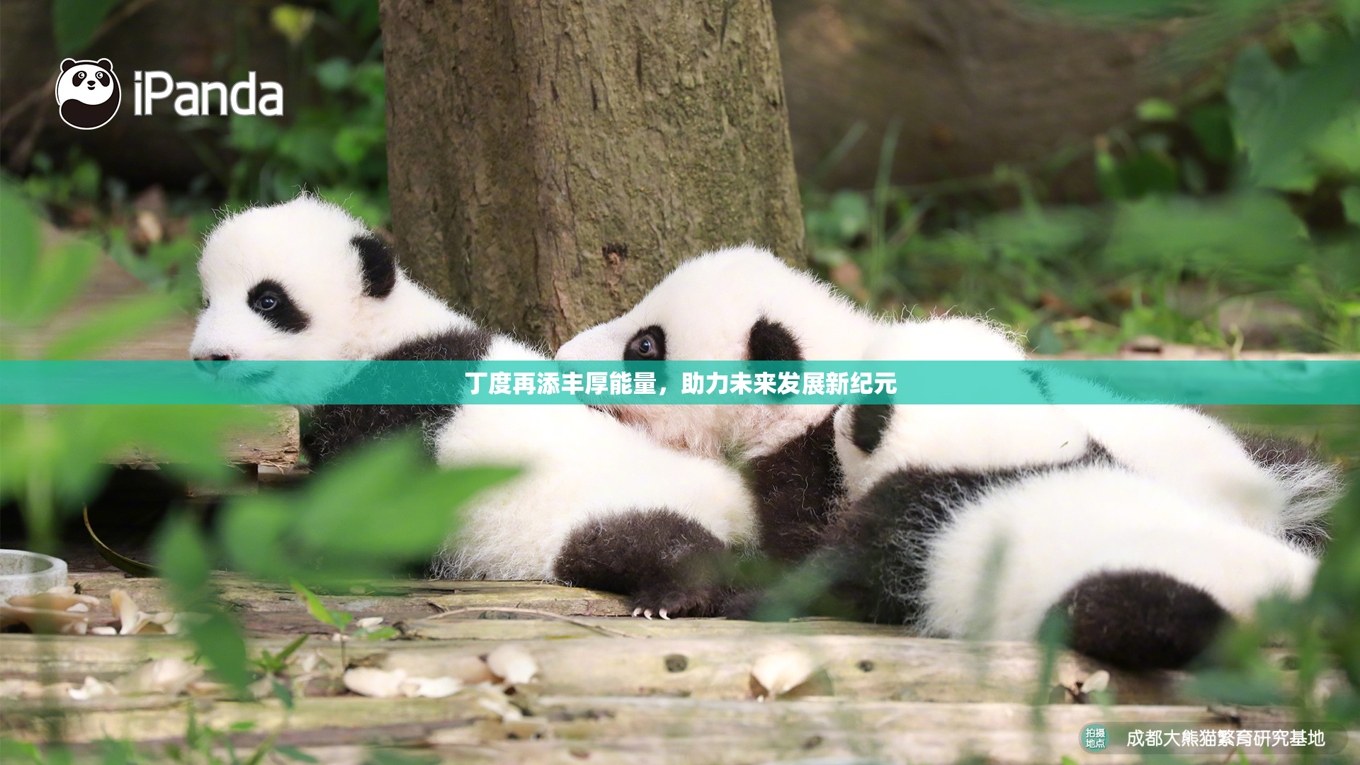 丁度再添丰厚能量，助力未来发展新纪元