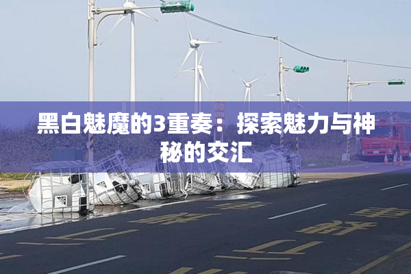 黑白魅魔的3重奏：探索魅力与神秘的交汇