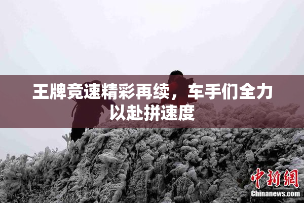 王牌竞速精彩再续，车手们全力以赴拼速度