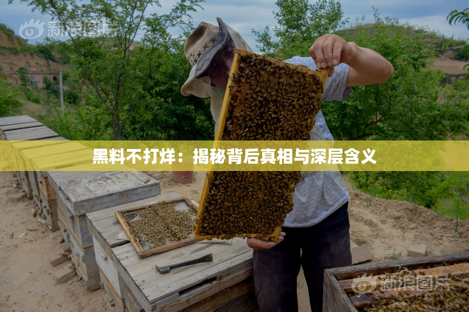 黑料不打烊：揭秘背后真相与深层含义