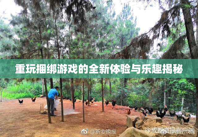 重玩捆绑游戏的全新体验与乐趣揭秘