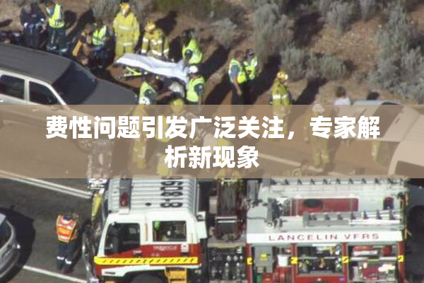费性问题引发广泛关注，专家解析新现象