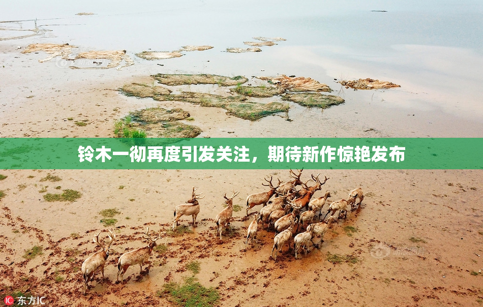 铃木一彻再度引发关注，期待新作惊艳发布