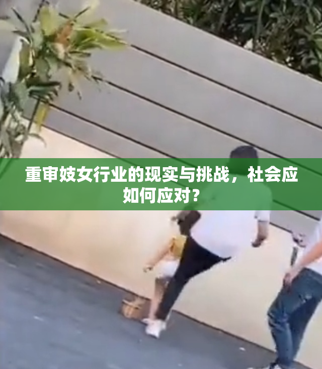重审妓女行业的现实与挑战，社会应如何应对？