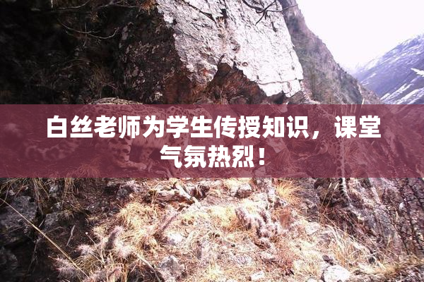 白丝老师为学生传授知识，课堂气氛热烈！