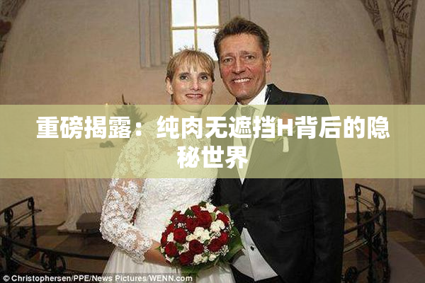 重磅揭露：纯肉无遮挡H背后的隐秘世界