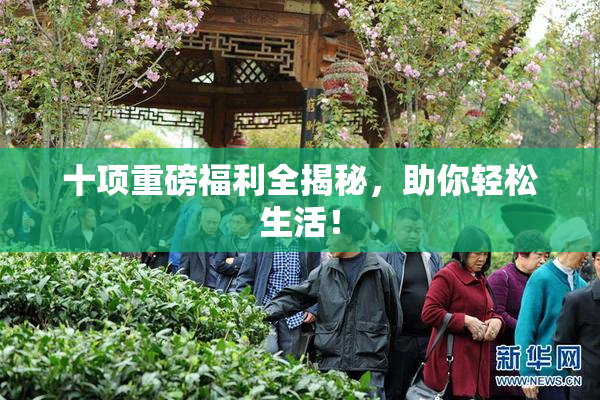 十项重磅福利全揭秘，助你轻松生活！