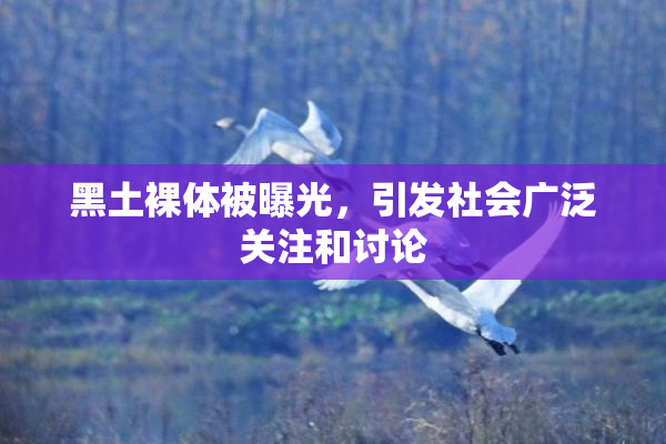 黑土裸体被曝光，引发社会广泛关注和讨论
