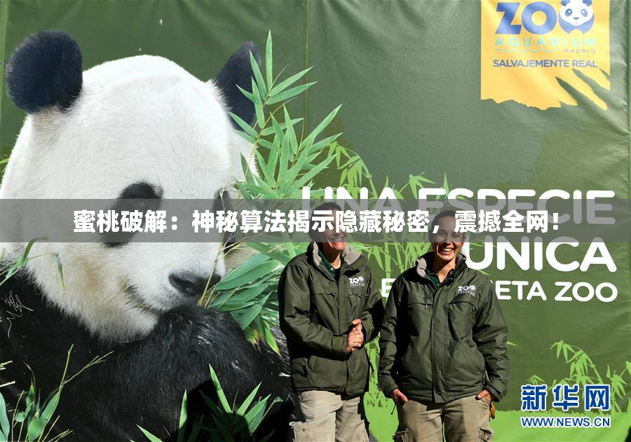 蜜桃破解：神秘算法揭示隐藏秘密，震撼全网！