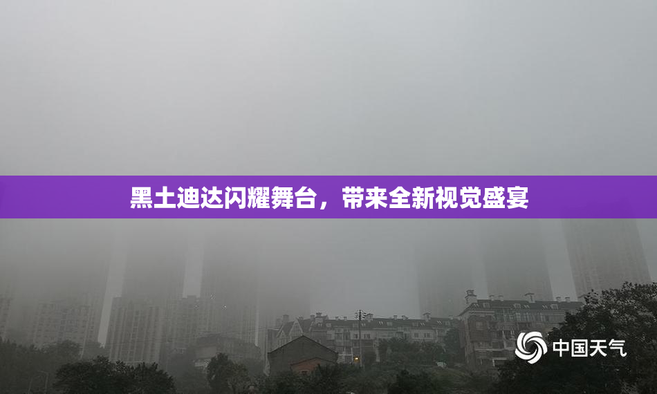 黑土迪达闪耀舞台，带来全新视觉盛宴