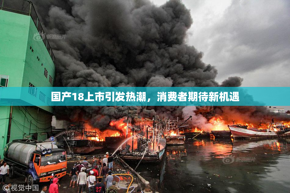 国产18上市引发热潮，消费者期待新机遇