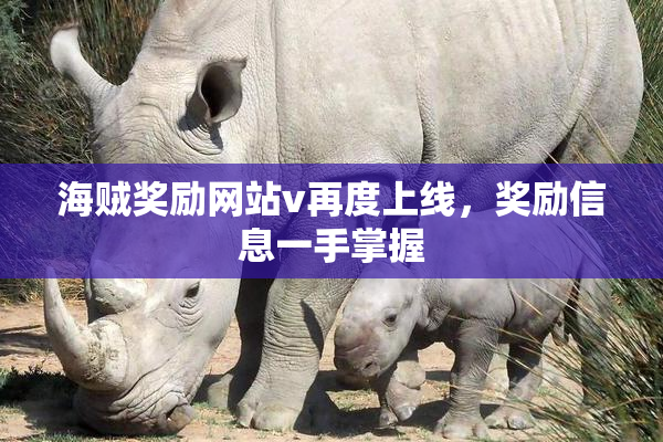 海贼奖励网站v再度上线，奖励信息一手掌握