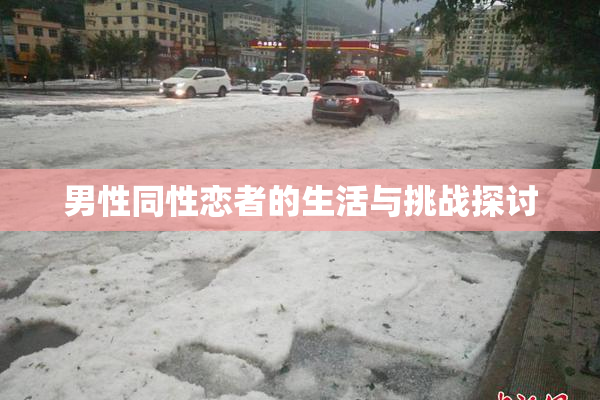 男性同性恋者的生活与挑战探讨