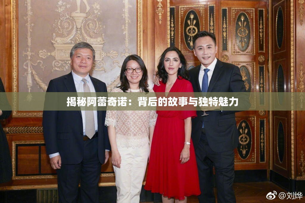揭秘阿蕾奇诺：背后的故事与独特魅力