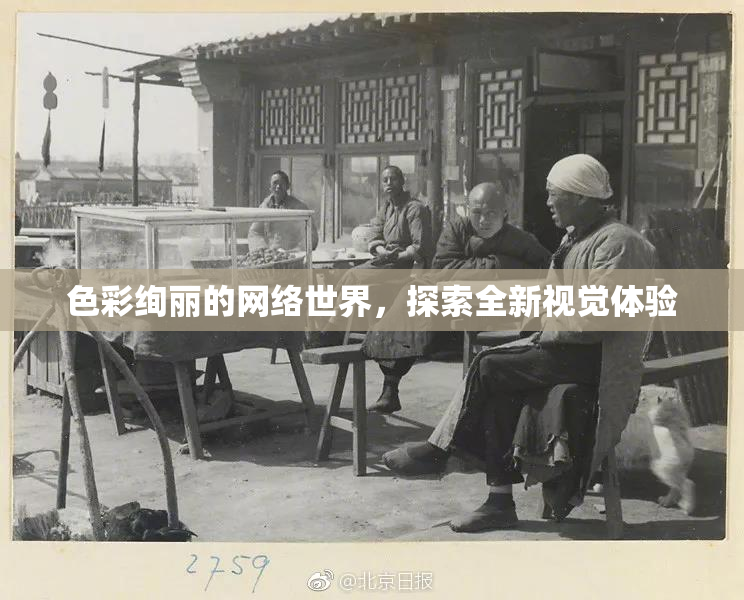 色彩绚丽的网络世界，探索全新视觉体验
