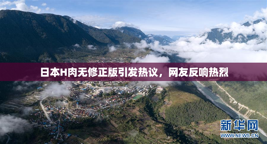 日本H肉无修正版引发热议，网友反响热烈