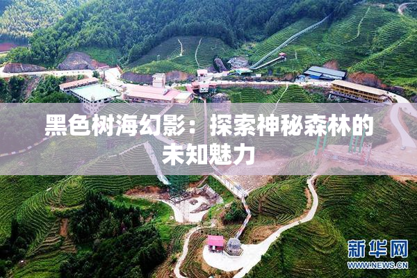 黑色树海幻影：探索神秘森林的未知魅力