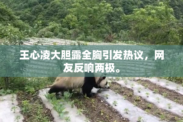 王心凌大胆露全胸引发热议，网友反响两极。