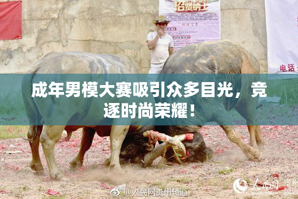 成年男模大赛吸引众多目光，竞逐时尚荣耀！