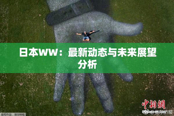 日本WW：最新动态与未来展望分析