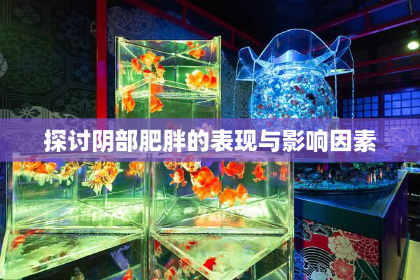 探讨阴部肥胖的表现与影响因素