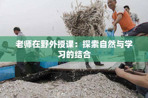 老师在野外授课：探索自然与学习的结合