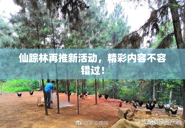 仙踪林再推新活动，精彩内容不容错过！