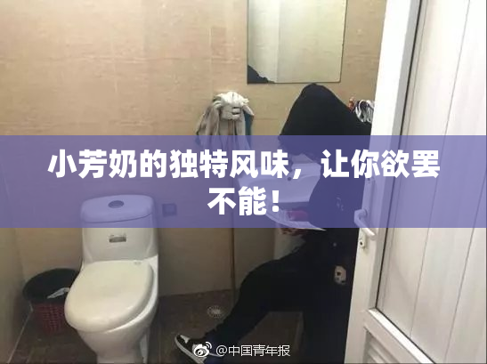 小芳奶的独特风味，让你欲罢不能！