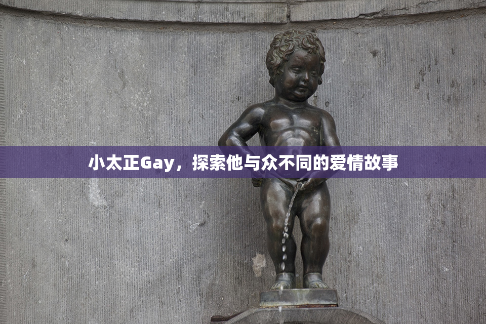 小太正Gay，探索他与众不同的爱情故事