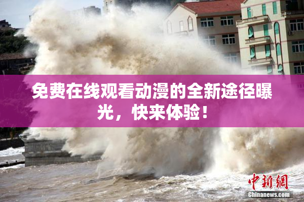 免费在线观看动漫的全新途径曝光，快来体验！