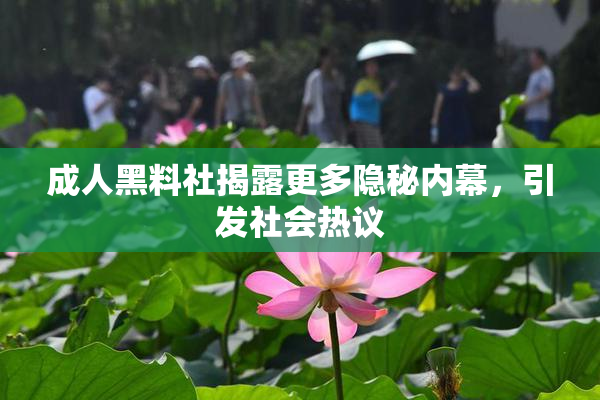 成人黑料社揭露更多隐秘内幕，引发社会热议