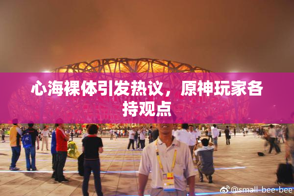心海裸体引发热议，原神玩家各持观点