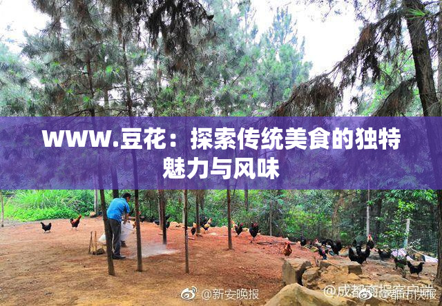 WWW.豆花：探索传统美食的独特魅力与风味