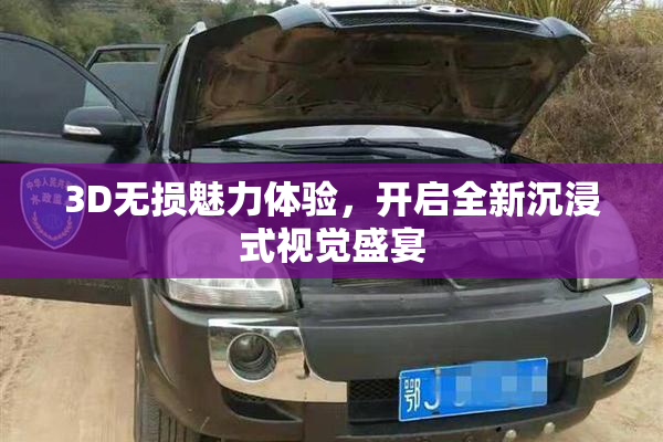 3D无损魅力体验，开启全新沉浸式视觉盛宴