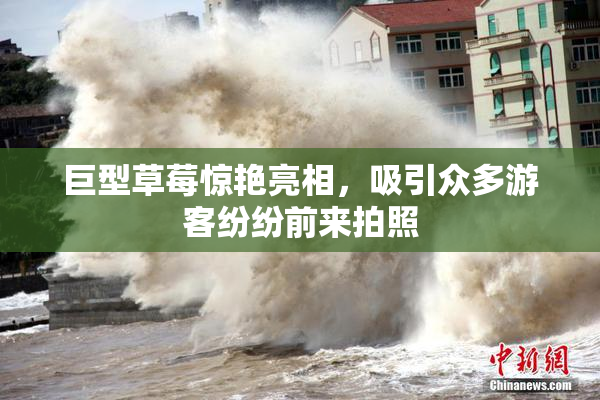 巨型草莓惊艳亮相，吸引众多游客纷纷前来拍照