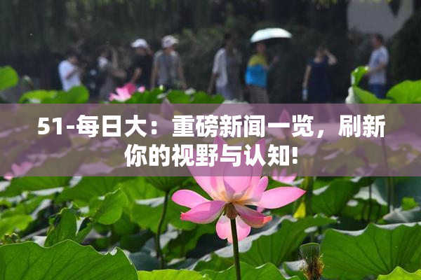 51-每日大：重磅新闻一览，刷新你的视野与认知!