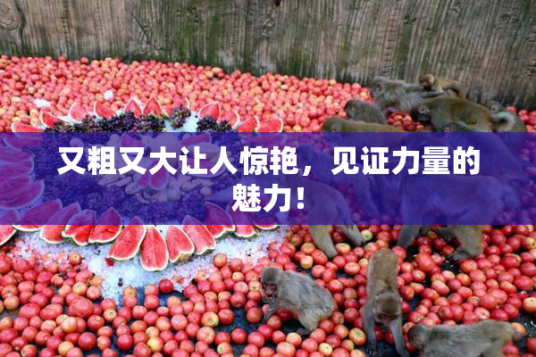又粗又大让人惊艳，见证力量的魅力！